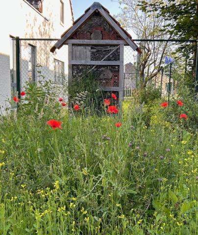 bloemen