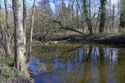 Tekbroek
