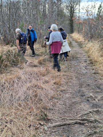 Wandelen2