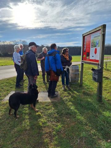 Wandelen