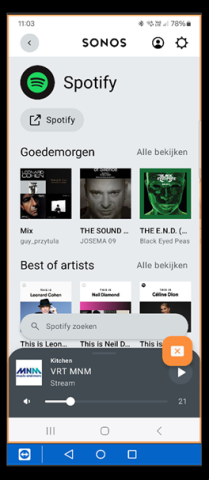 muziek