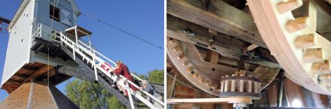 Molen